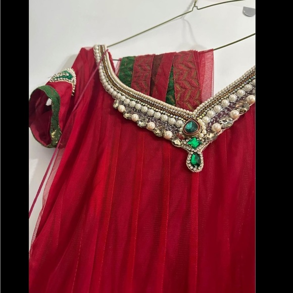 Anarkali suit - Picture 5 of 6